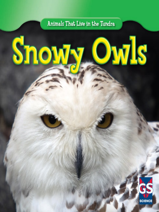 Cover image for Snowy Owls